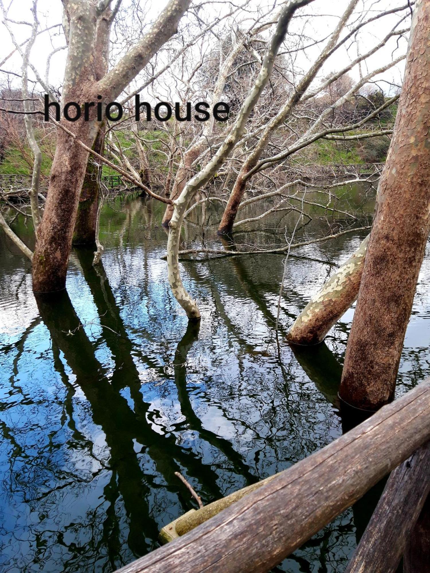 Vila Horio House Limni  Pokoj fotografie